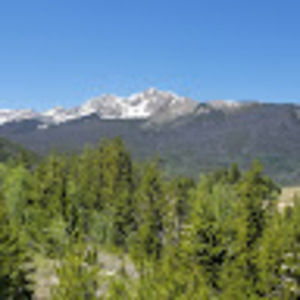 Meet your Posher, Erika